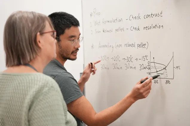 Teaching at the whiteboard. Photo.