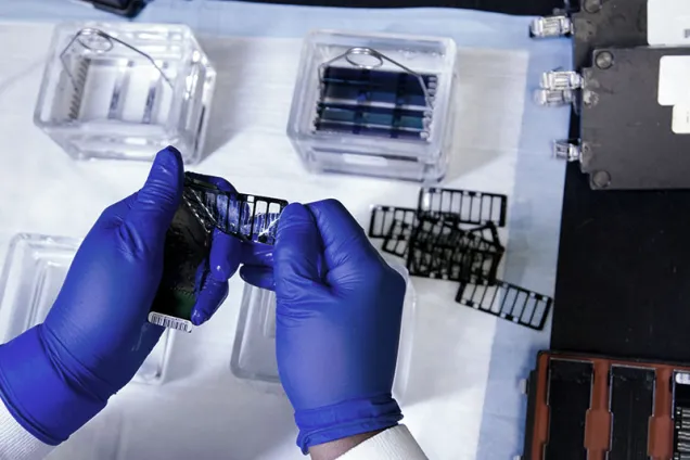 DNA Genotyping and Sequencing in a lab. Photo.