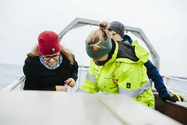 Researchers in a boat. Photo.