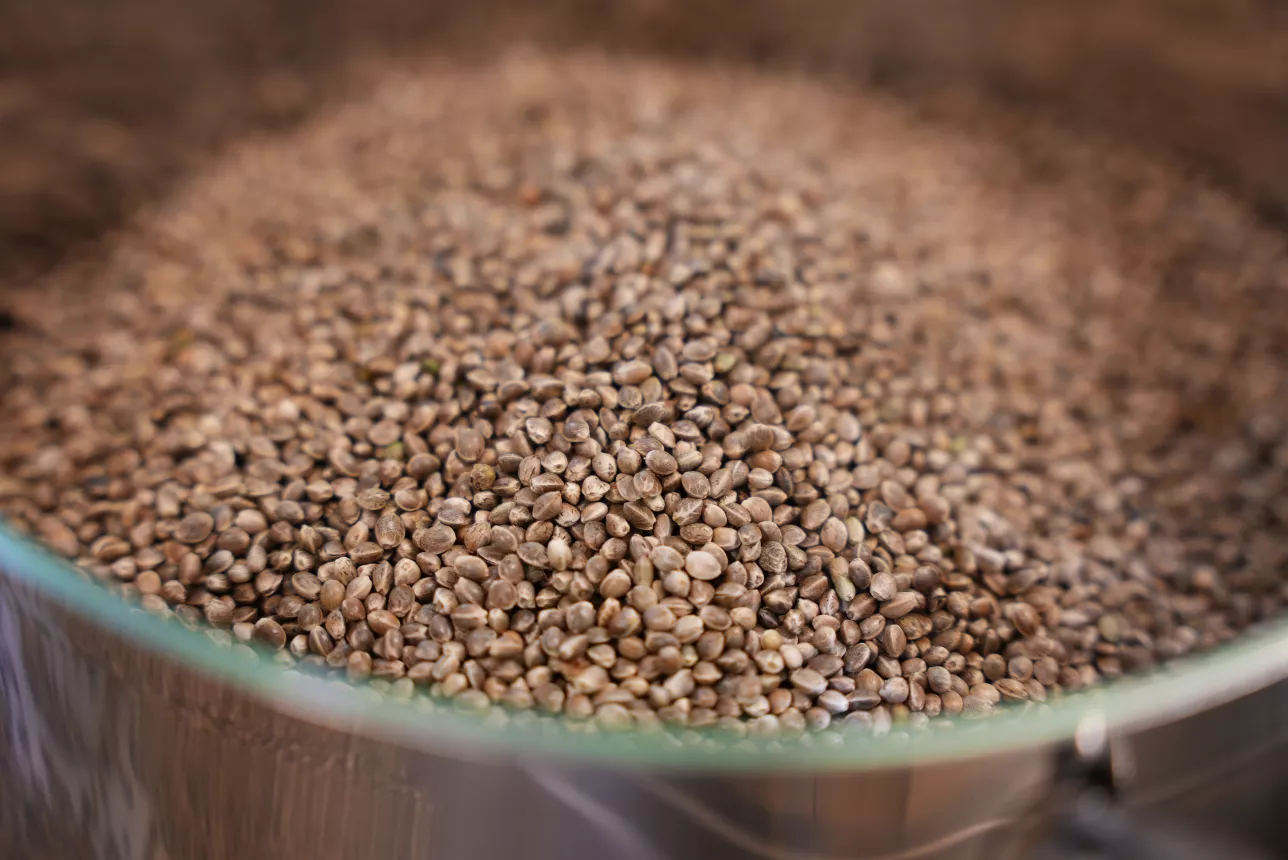Brown grains in a metal bowl. Photo.