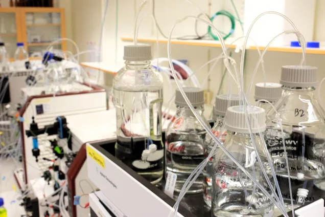 Laboratorium med flera flaskor och sladdar. Foto.