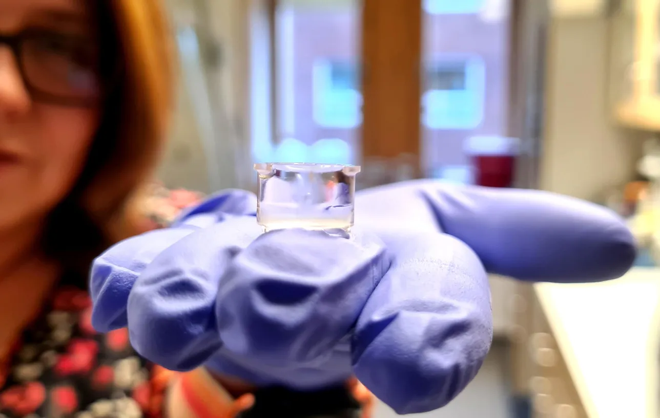In vitro-modell av 3D-vävnad. Foto.